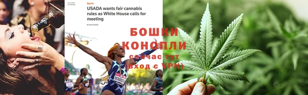 PSILOCYBIN Алзамай