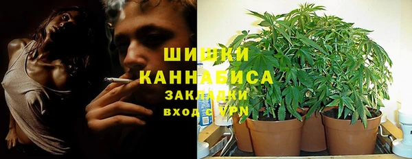 дурь Алексеевка