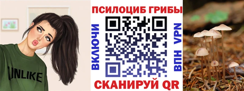 Галлюциногенные грибы мицелий  Октябрьский 