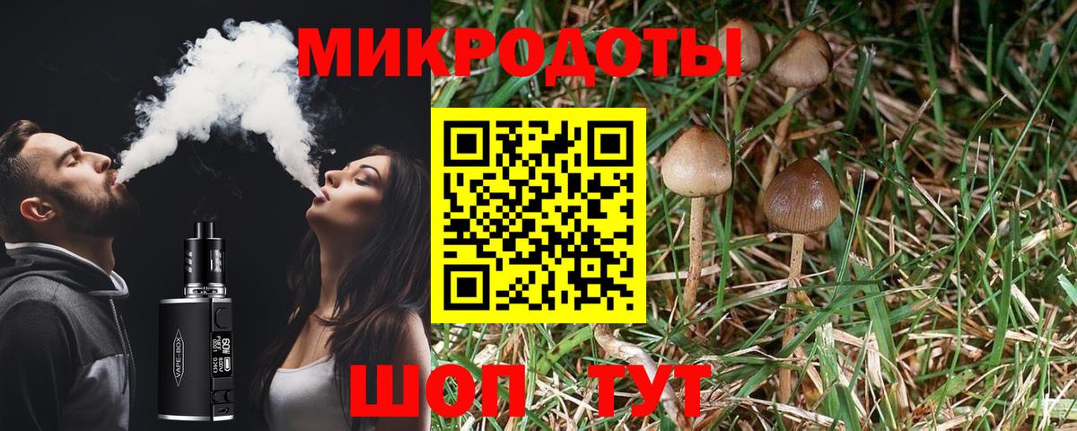 Галлюциногенные грибы прущие грибы Октябрьский
